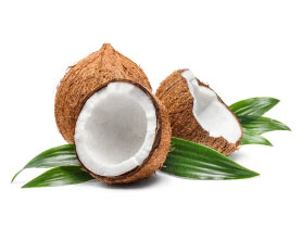 Coconut